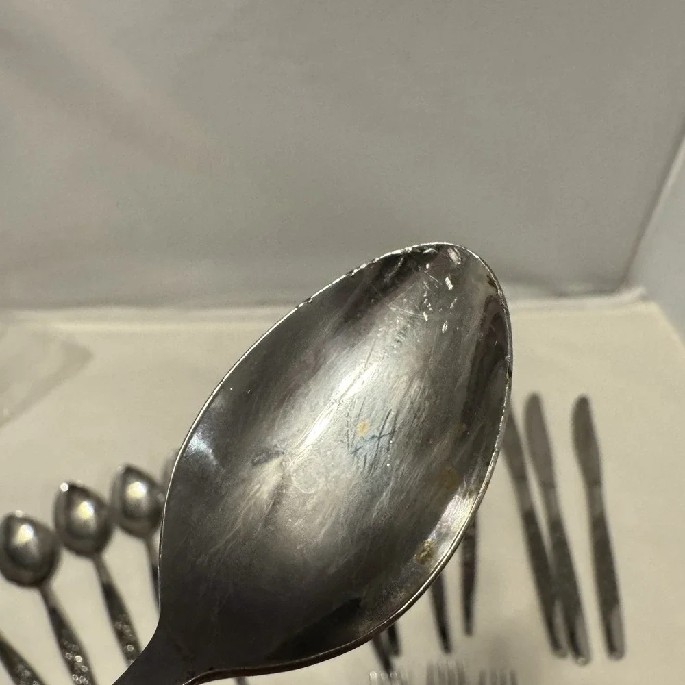 National CARESS Nasco ROSEVINE Floral Stainless Flatware Set‎ Of 18 **Read**
